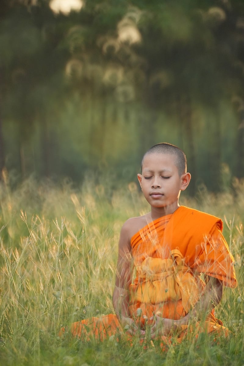 Meditation Workshops